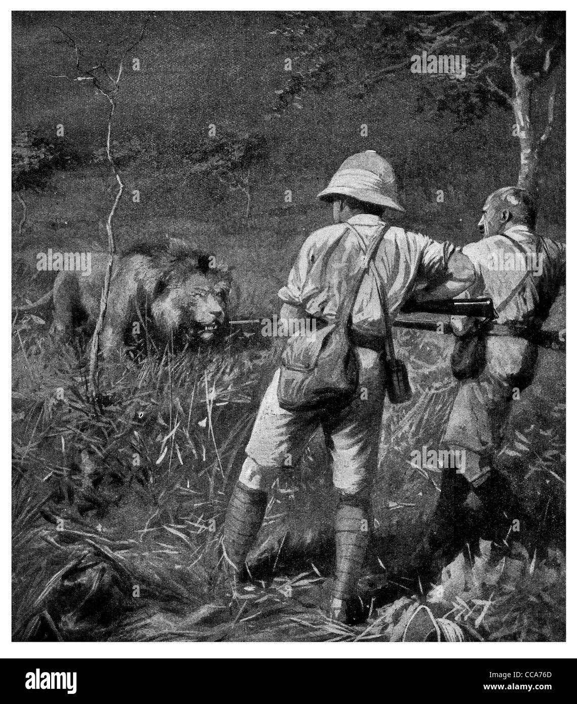 1916 Grande chasse Chasse au Lion en Afrique de l'Est à baïonnette fusil de chasse des proies prédateurs de la bête sauvage safari animal pédonculées harcèlement Banque D'Images