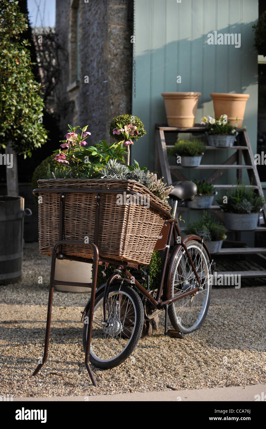 Un vieux vélo avec paniers traditionnels est utilisé pour afficher des usines à Daylesford Organic Farmshop près de Stow-on-the-Wold, Gloucest Banque D'Images