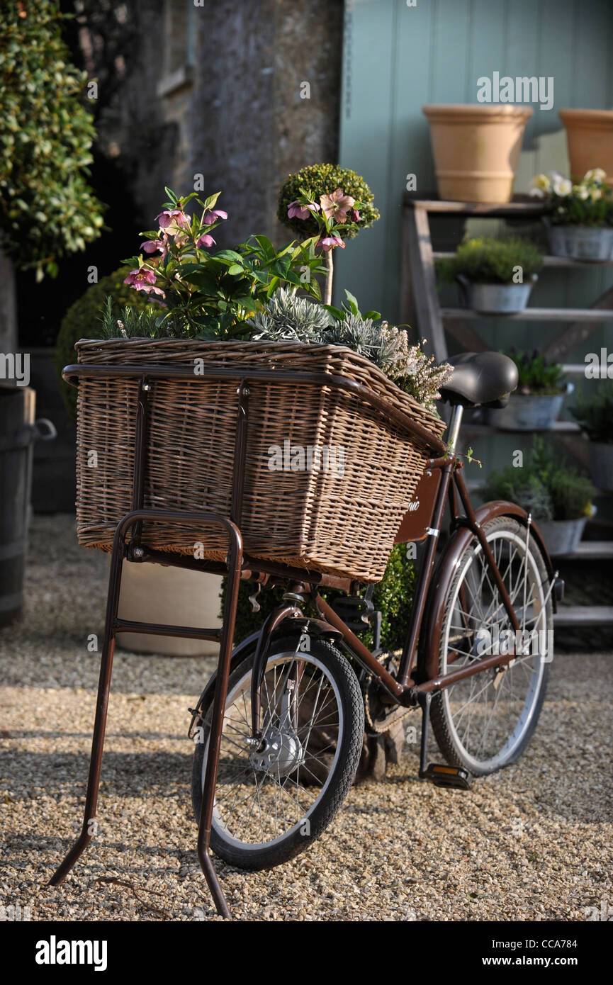Un vieux vélo avec paniers traditionnels est utilisé pour afficher des usines à Daylesford Organic Farmshop près de Stow-on-the-Wold, Gloucest Banque D'Images