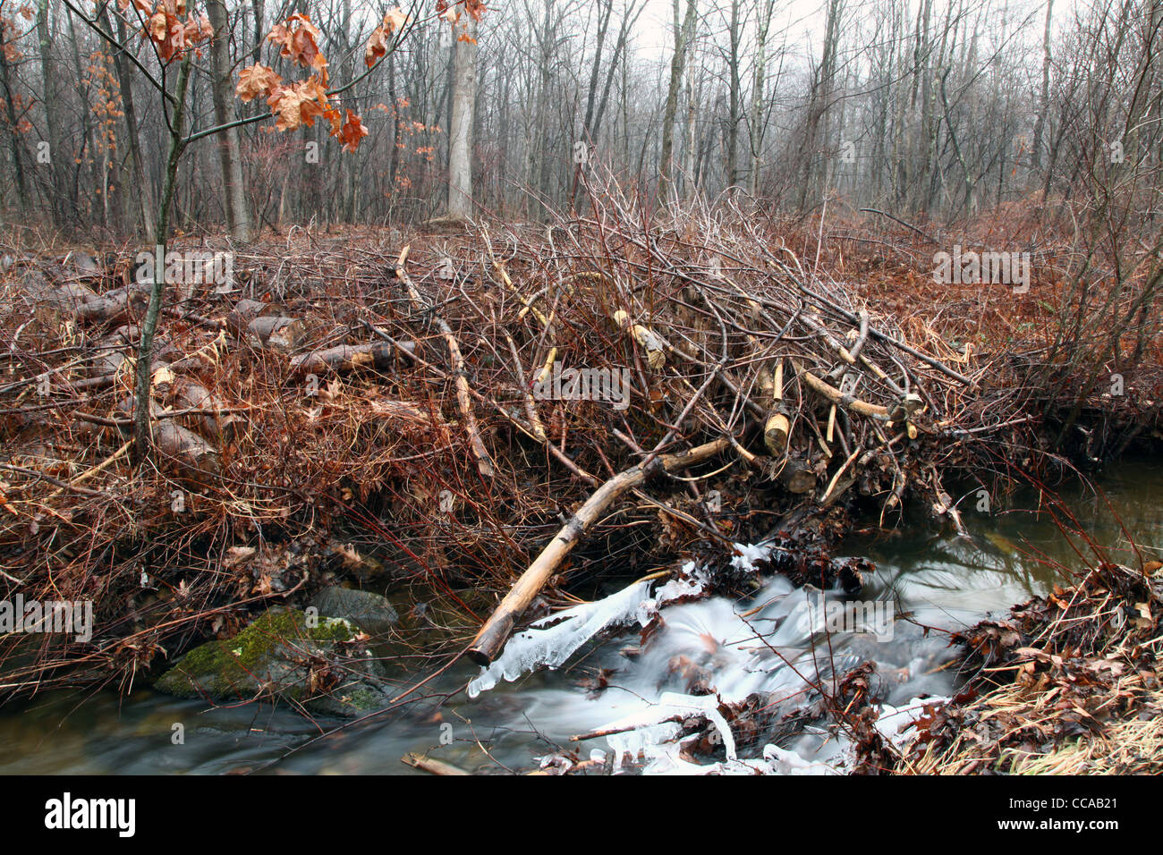 Pritchard Brook longue exposition, Cornwall Bridge, CT, USA Banque D'Images