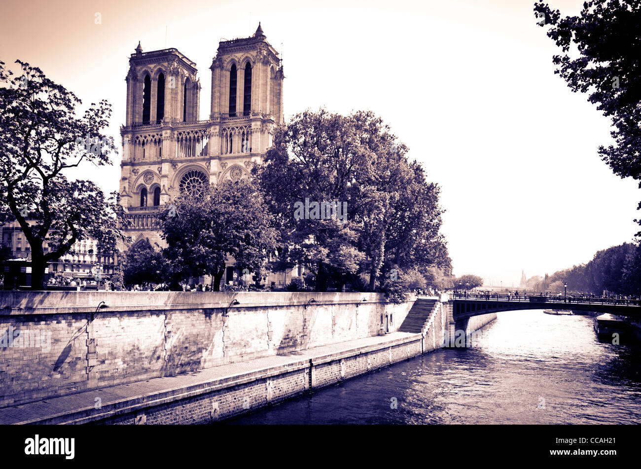 La Cathédrale Notre Dame, Paris, France Banque D'Images