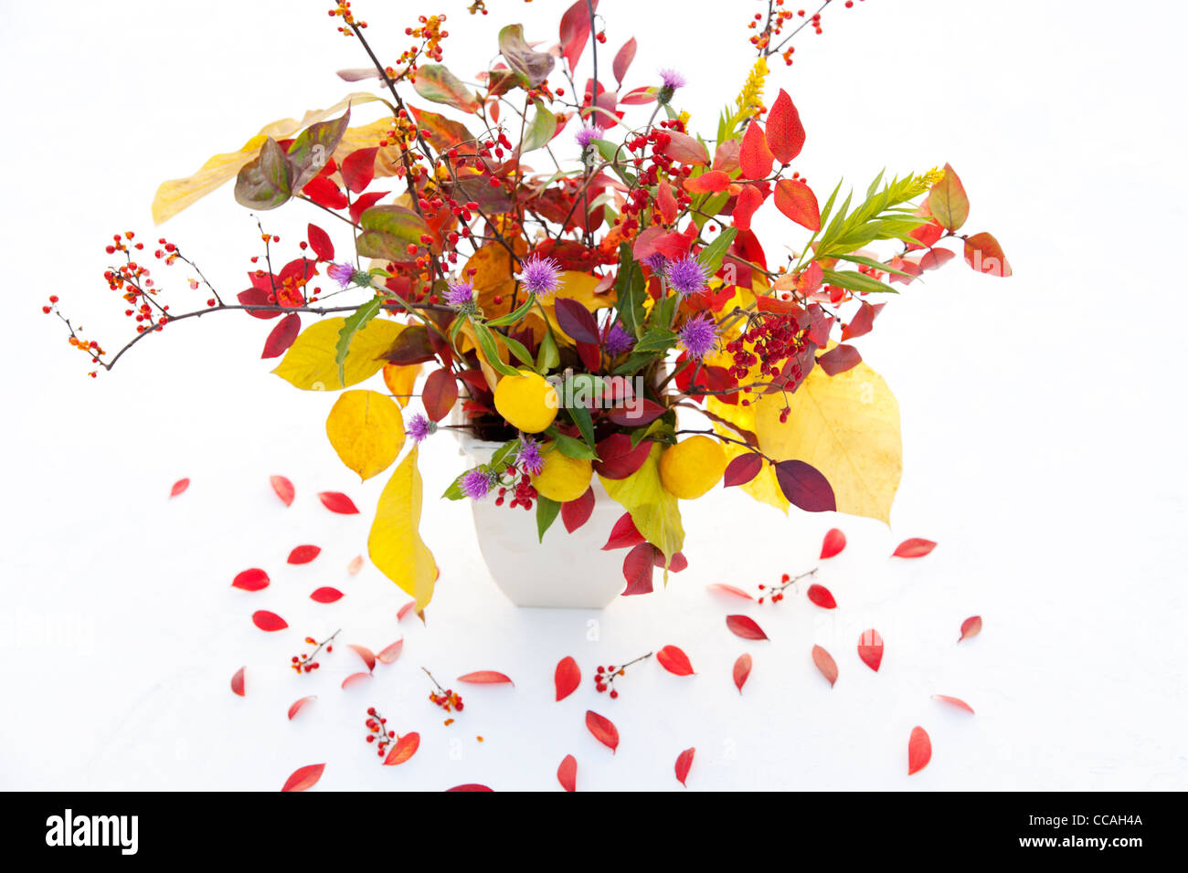 Arrangement de fleurs d'automne Banque D'Images