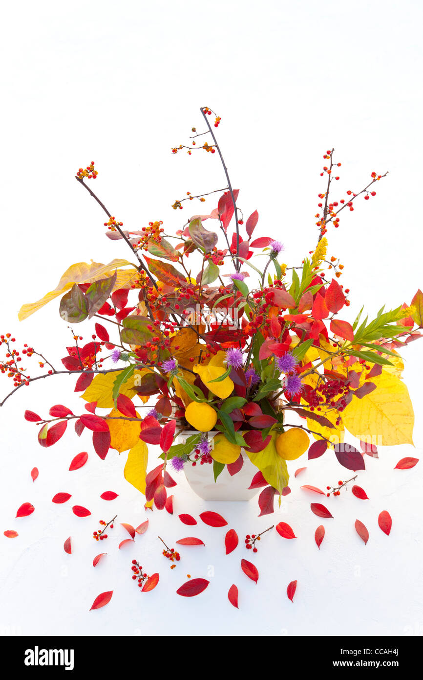 Arrangement de fleurs d'automne Banque D'Images