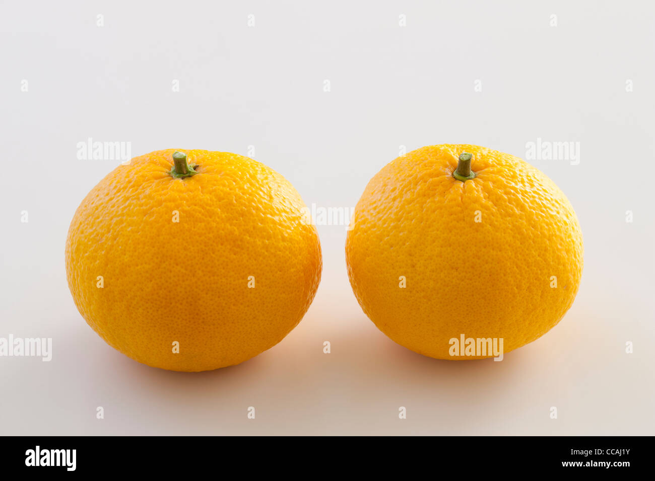 Deux Oranges Banque D'Images
