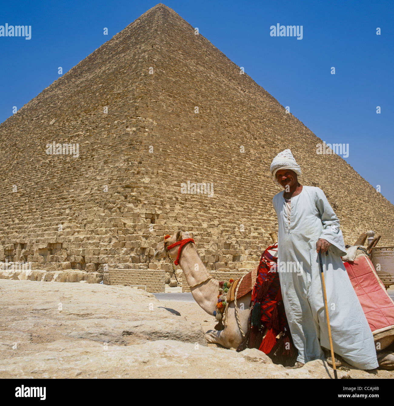 Chaise bédouine avec Camel Grande Pyramide Gizeh Egypte Banque D'Images