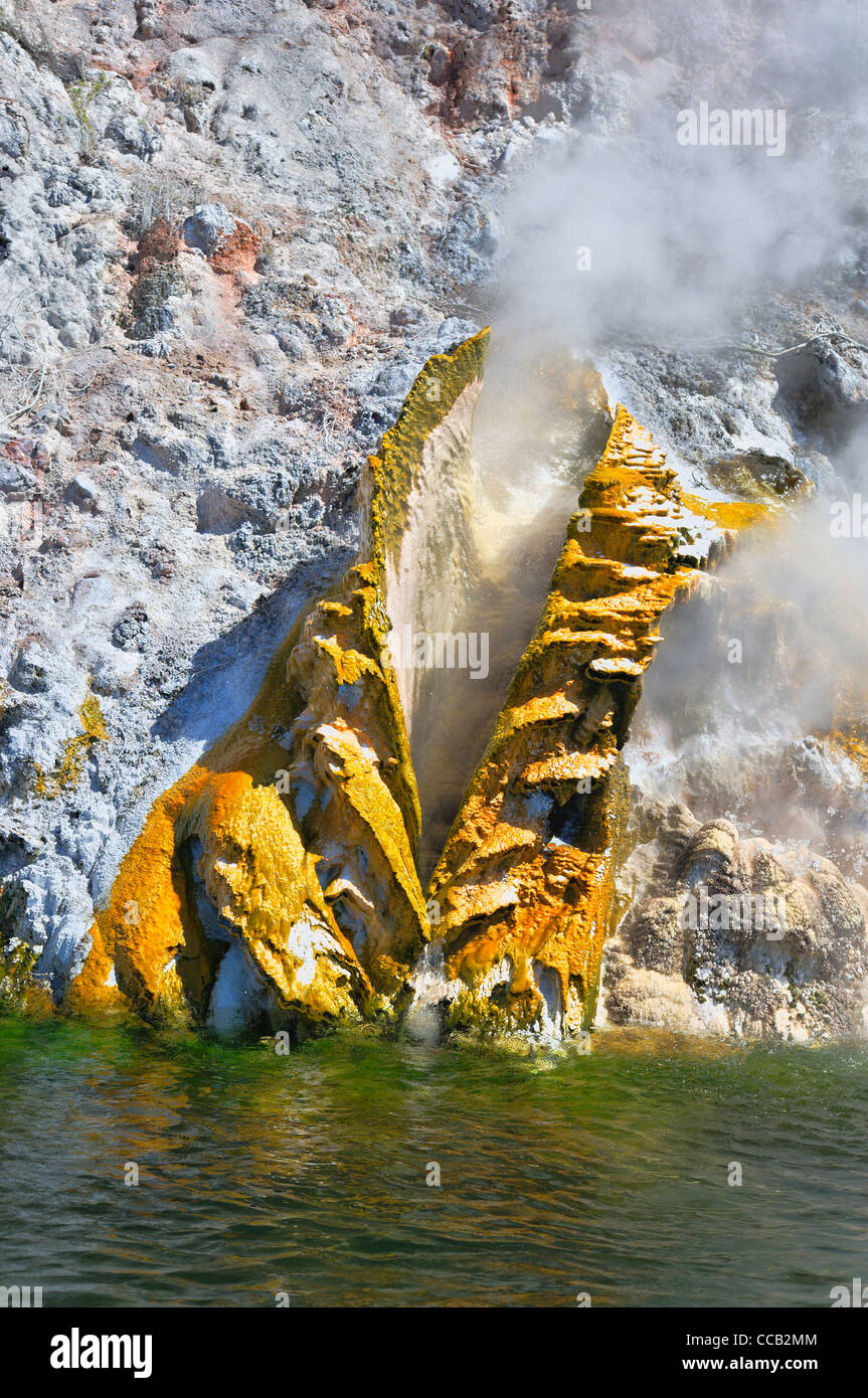 Geyser Lac Rotomahana Banque D'Images