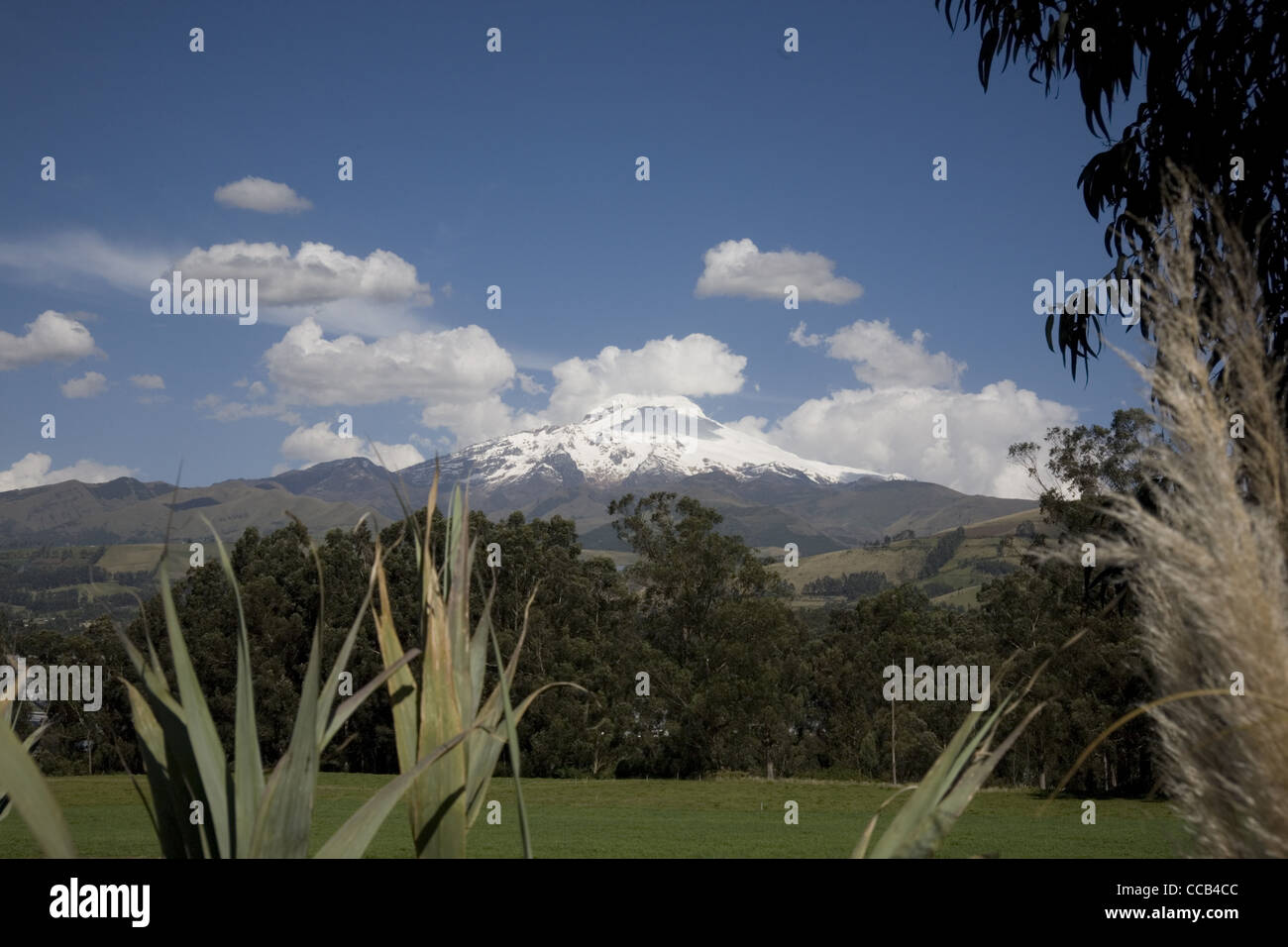 Equateur Quito volcan Chimborazo Banque D'Images