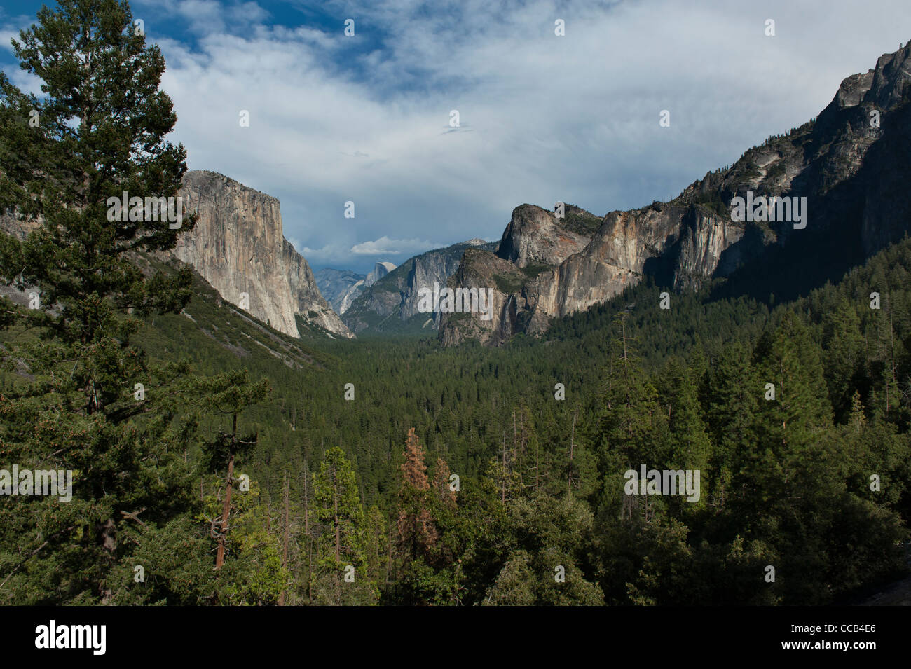 Célèbre Tunnel Vue sur vallée de Yosemite avec El Capitan et cathédrale des rochers dans le Parc National Yosemite. Banque D'Images