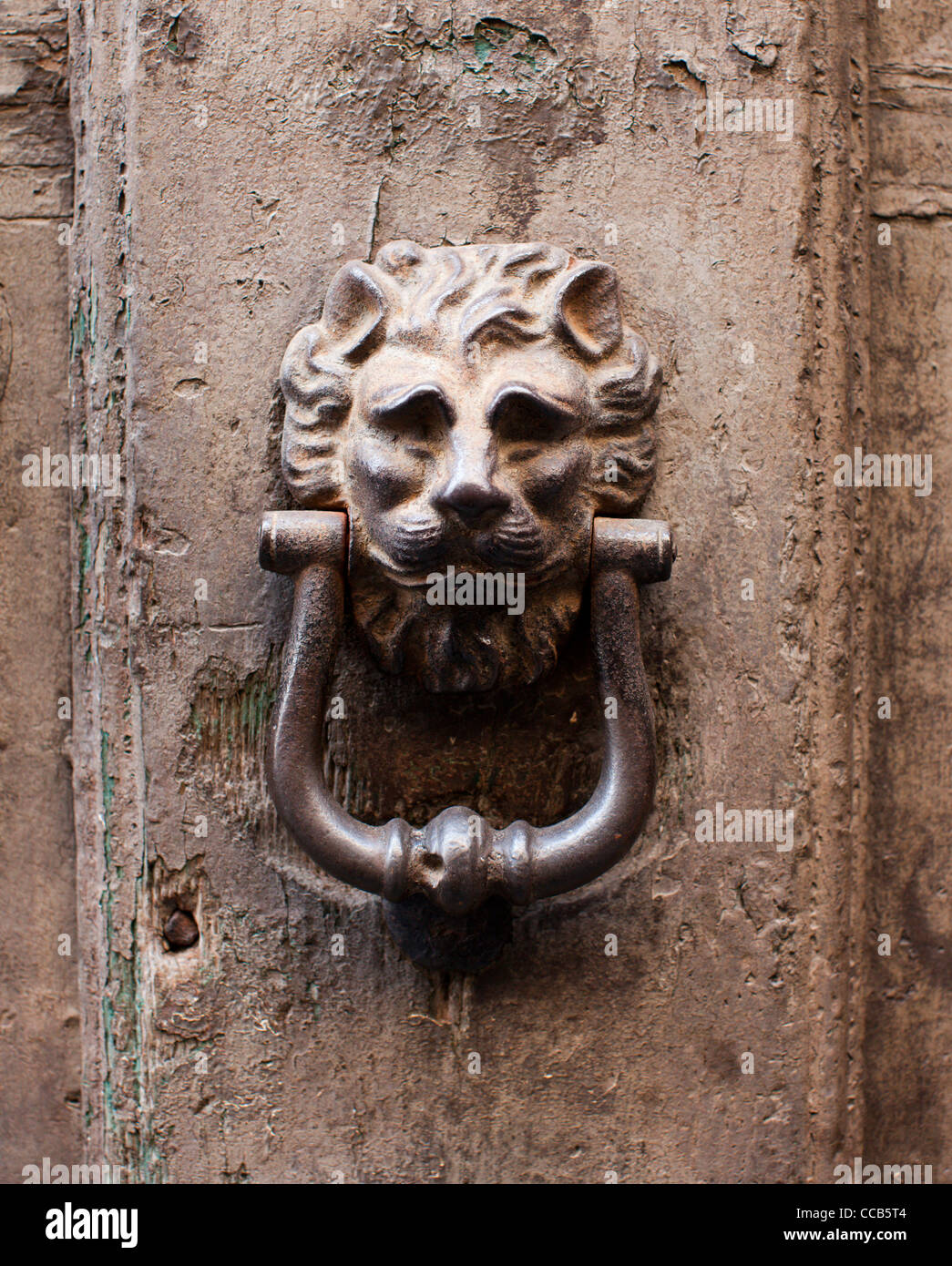Un lion en fer décoré heurtoir. Bolsena, Italie. Banque D'Images
