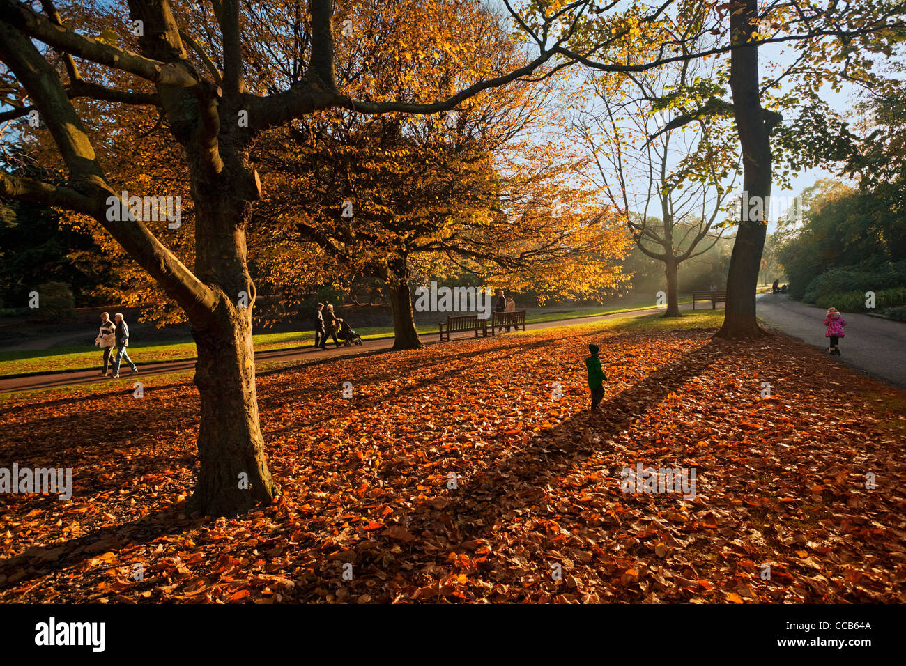 Couleurs d'automne, Royal Botanic Garden, Édimbourg Banque D'Images