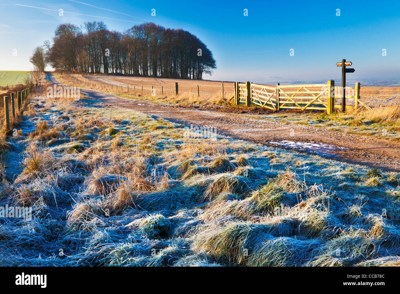 Un matin d'hiver glacial sur le chemin d'accès à longue distance Ridgeway Hackpen Hill, Wiltshire, England, UK Banque D'Images