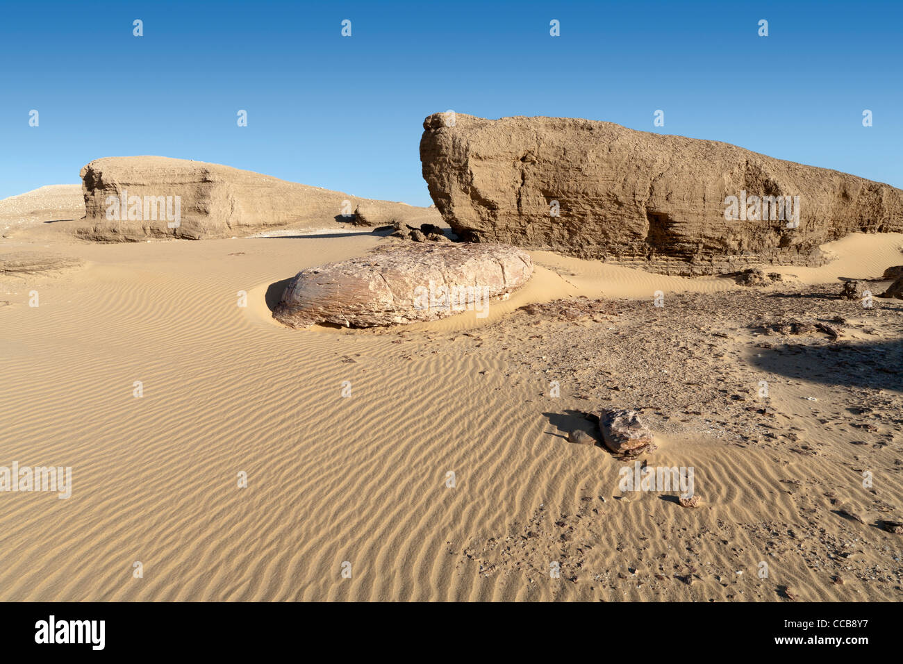 Les lions de la Boue Sable striée en champ yardang Dakhla Oasis Afrique Egypte Banque D'Images