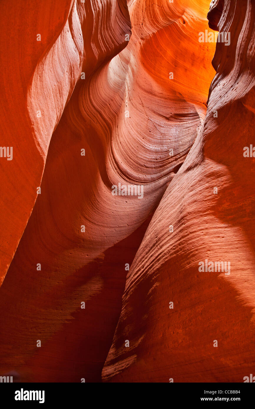 Murs de Canyon X, un slot canyon près de Page, Arizona. Banque D'Images