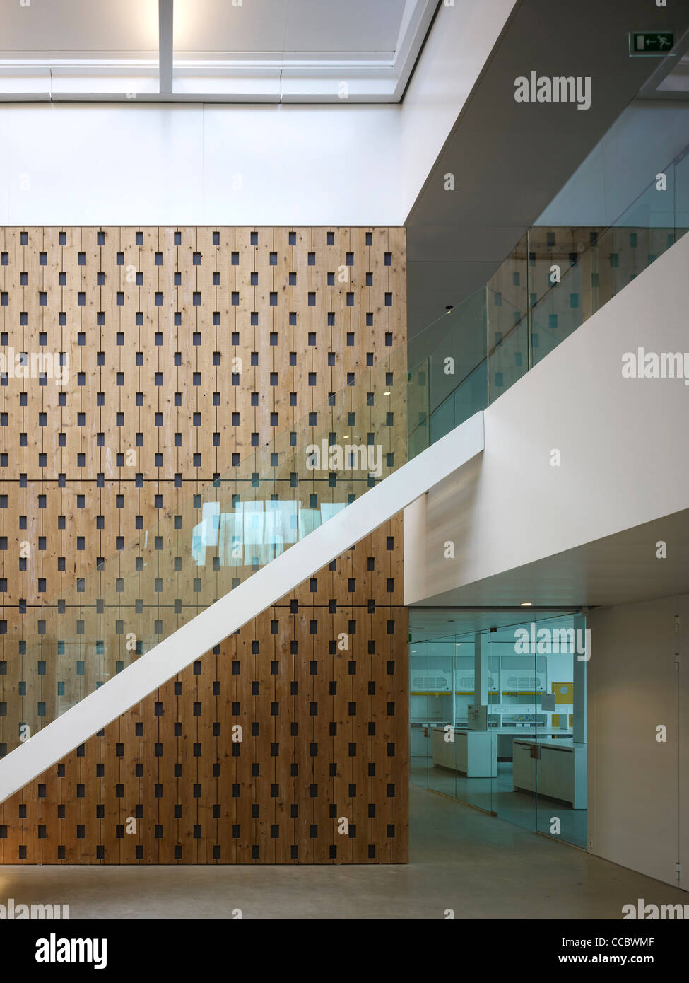 Institut néerlandais d'écologie(NIOO-KNAW Noël  + Kaan Architectes Wageningen Pays-Bas 2011 escalier intérieur reliant Banque D'Images