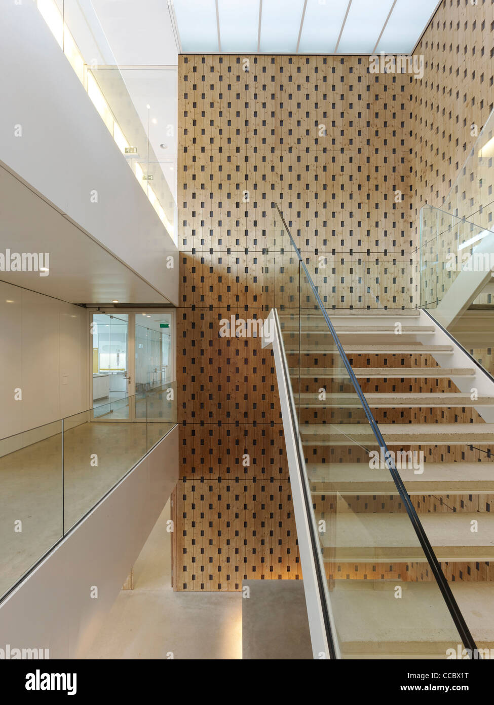 Institut néerlandais d'écologie(NIOO-KNAW Noël  + Kaan Architectes Wageningen Pays-Bas 2011 Détail de l'escalier avec vitrage Banque D'Images