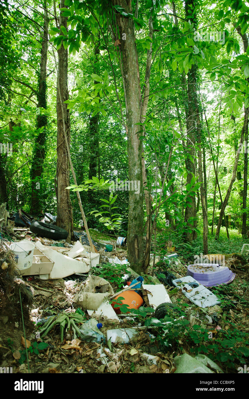 Les déchets déversés dans les bois Banque D'Images