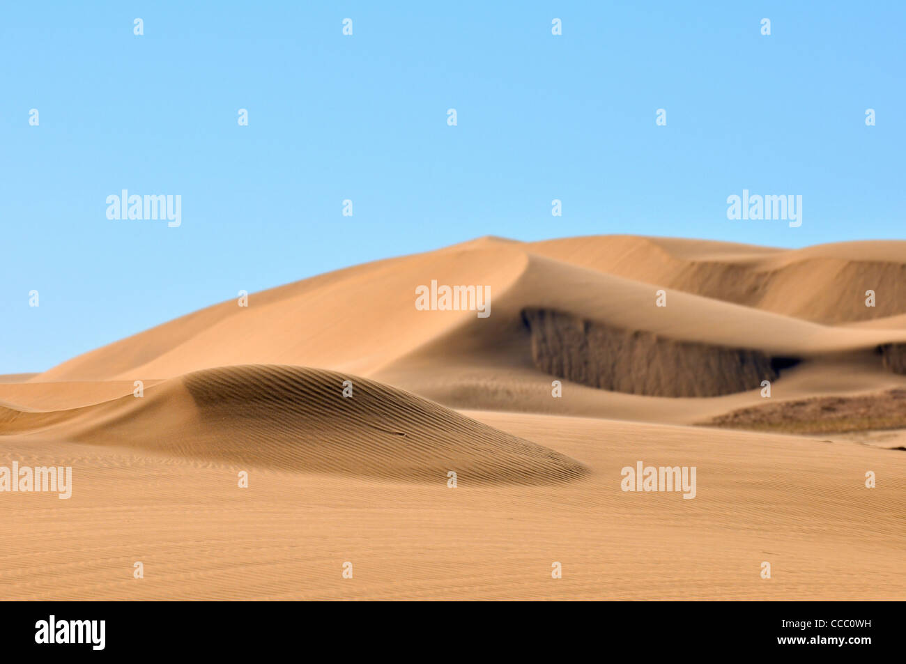 Les ondulations du sable sur les dunes du désert de Namib, Namibie Banque D'Images