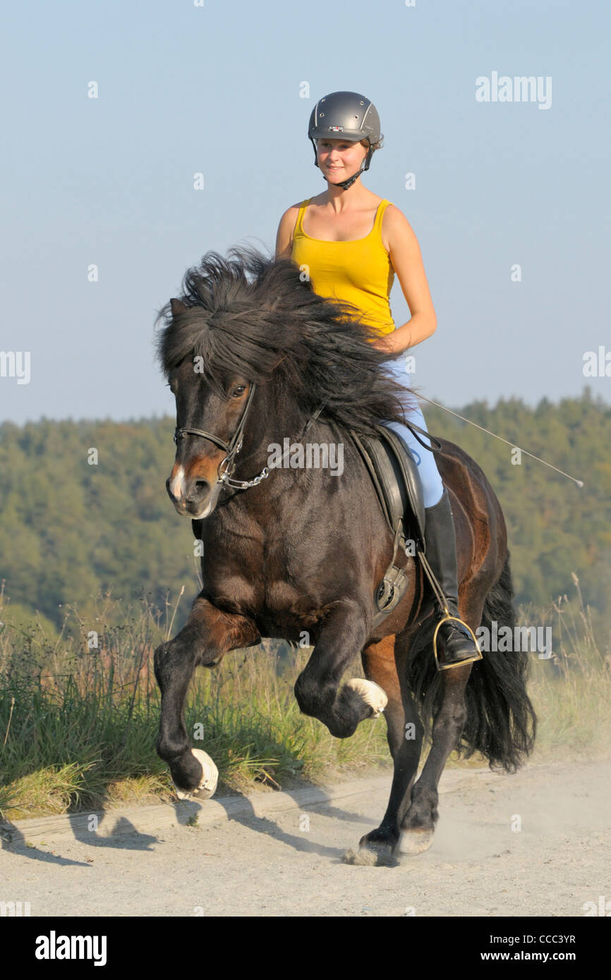 Jeune cavalier au dos d'un cheval islandais canter Banque D'Images