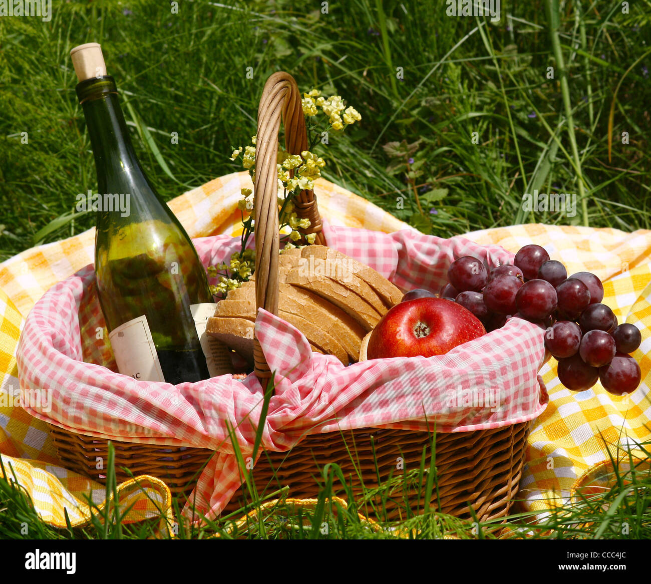Pique-nique sur l'herbe Banque D'Images