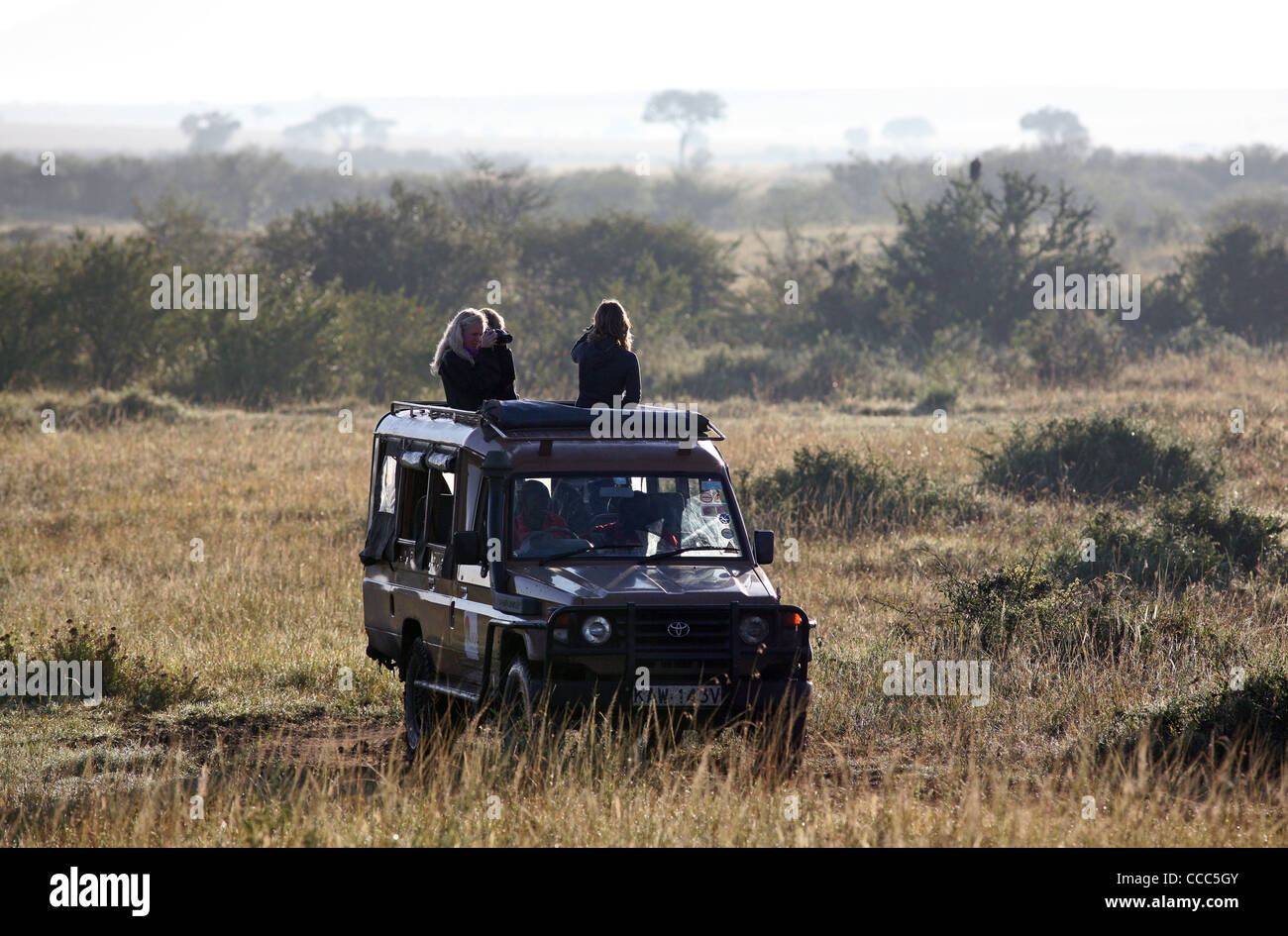 Trois femmes touristes safari, tôt le matin, Masai Mara National Reserve, Kenya, Afrique de l'Est. Banque D'Images