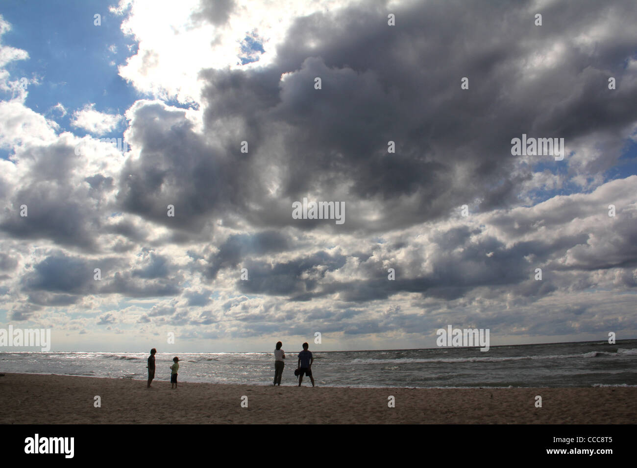 Plage chien randonneur Lac Michigan Grand Mere State Park Banque D'Images