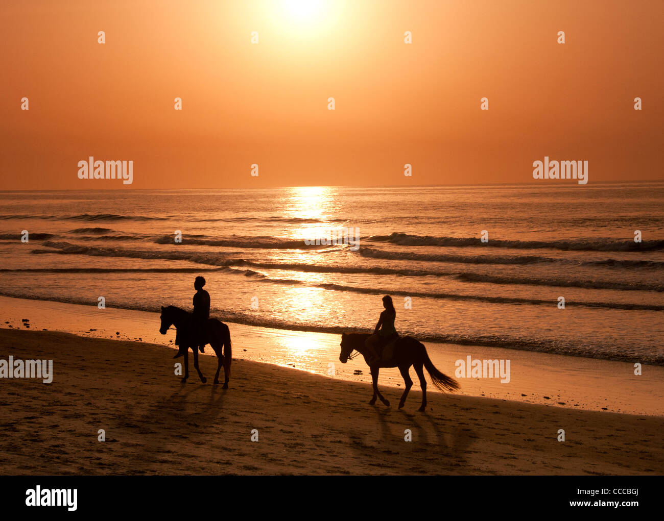 L'équitation sur la plage de Kololi au coucher du soleil, près de Banjul, Gambie, en Afrique de l'Ouest Banque D'Images