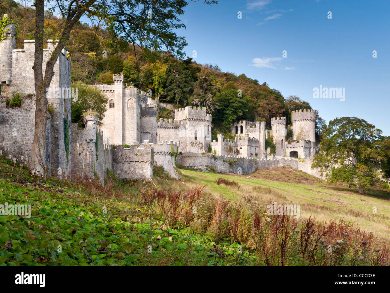Gwrych Castle, près de Abergele, Arrondissement de Conwy, Nord du Pays de Galles, Royaume-Uni Banque D'Images