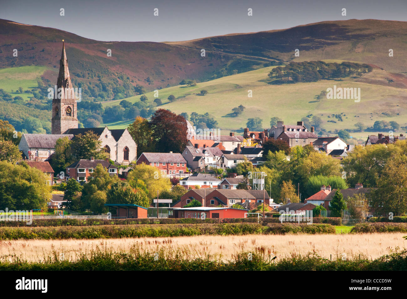 St Peter's Collegiate Church, Ruthin, Vale de Clwyd, Denbighshire, Nord du Pays de Galles Banque D'Images