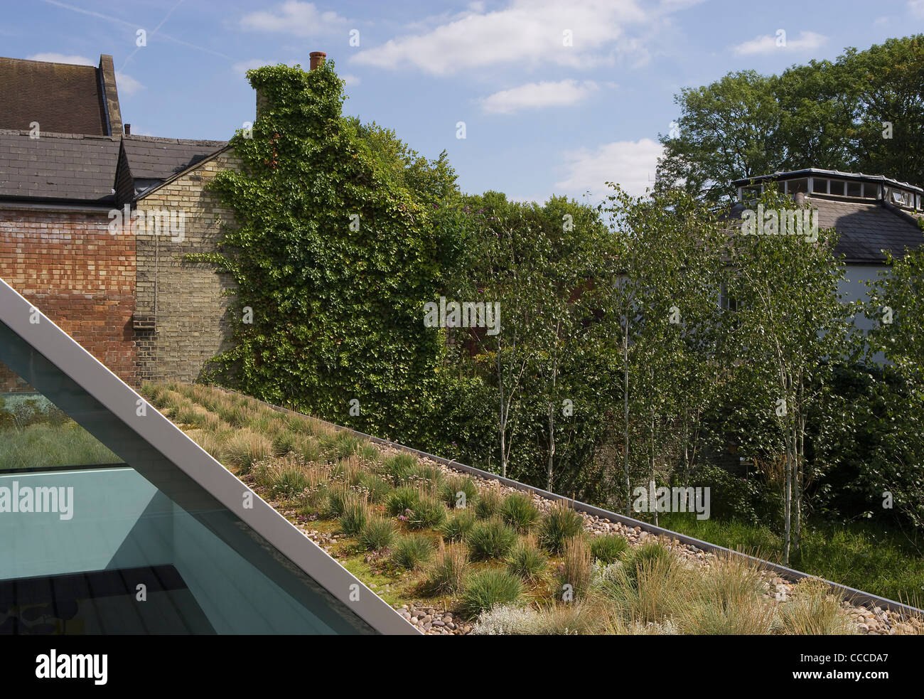 3a Hampstead Lane, Duggan Morris Architects, extérieur, montrant le pavillon vert et triangulaire vitrage du toit Banque D'Images