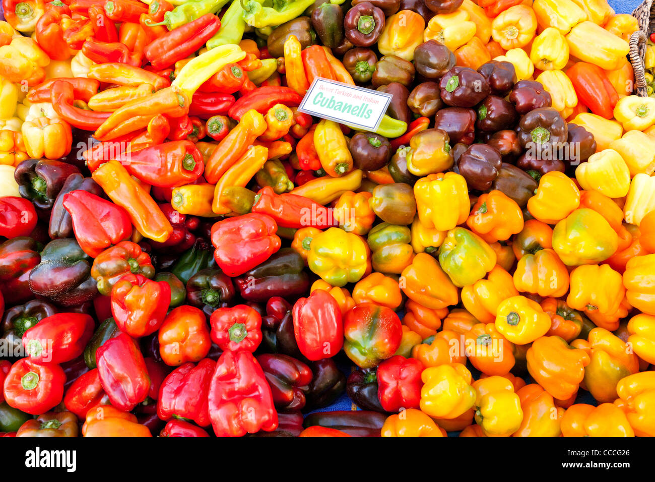 Turque et italienne bio poivrons Cubanelle at farmers market - San Francisco, California USA Banque D'Images
