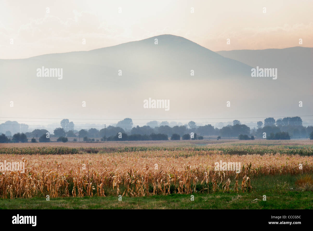 Montagnes en Macédoine, près de parc national de Mavrovo. Les champs de maïs dans le foregoround Banque D'Images