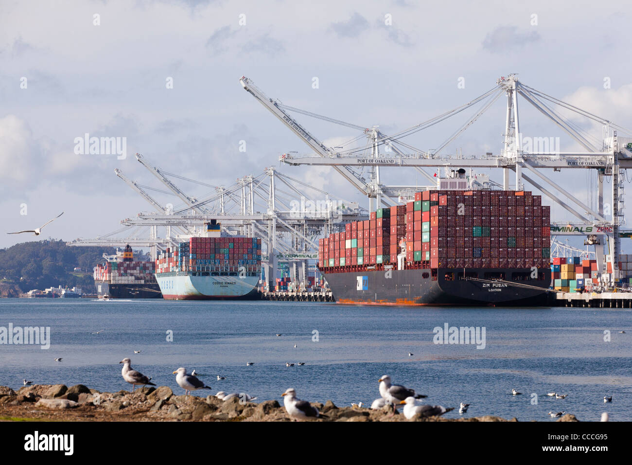 Attendre le déchargement des navires porte-conteneurs au Port d'Oakland en Californie - USA Banque D'Images