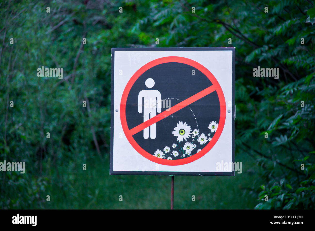Ne pas faire pipi dans le parc ! Inscrivez-vous au milieu de la végétation verte Banque D'Images
