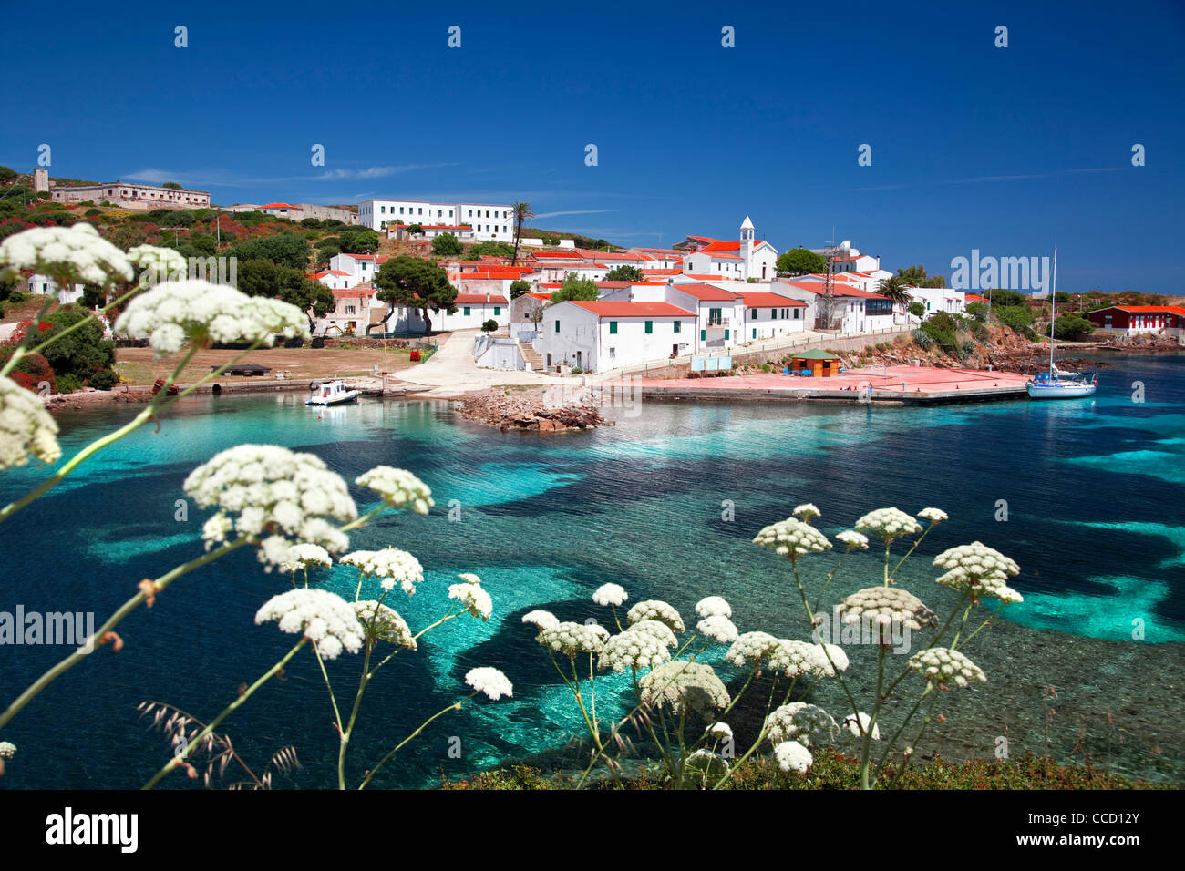 Cala d'Oliva, l'île de l'Asinara, Porto Torres, en Sardaigne, Italie, Europe Banque D'Images