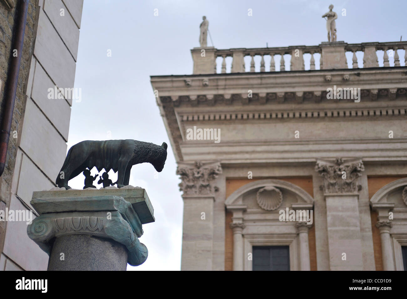 Rome. Le Latium. L'Italie. L'Europe. La "Lupa Capitolina" dans le Capitole. Banque D'Images