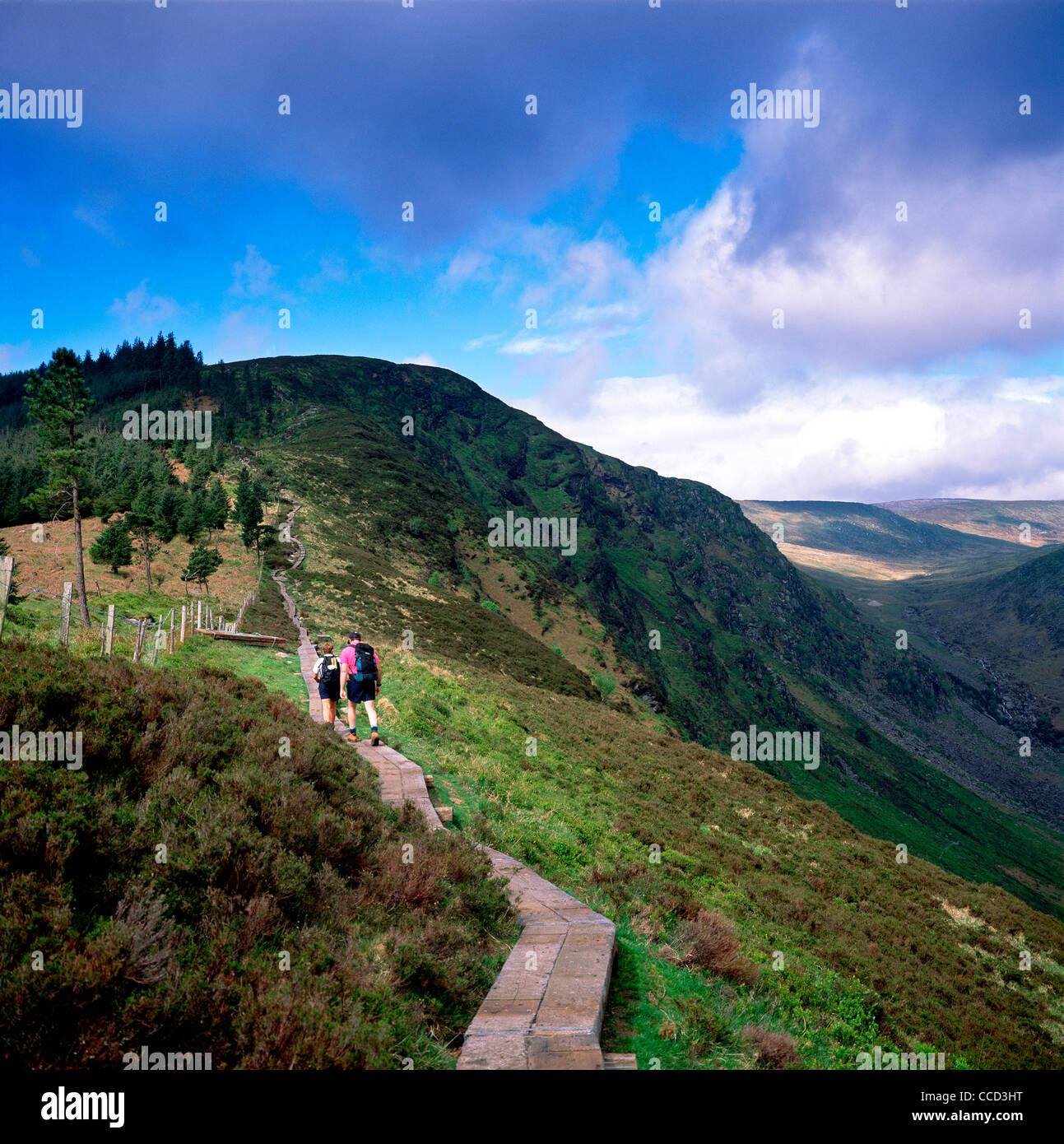 La randonnée dans les montagnes de Wicklow, Irlande Banque D'Images
