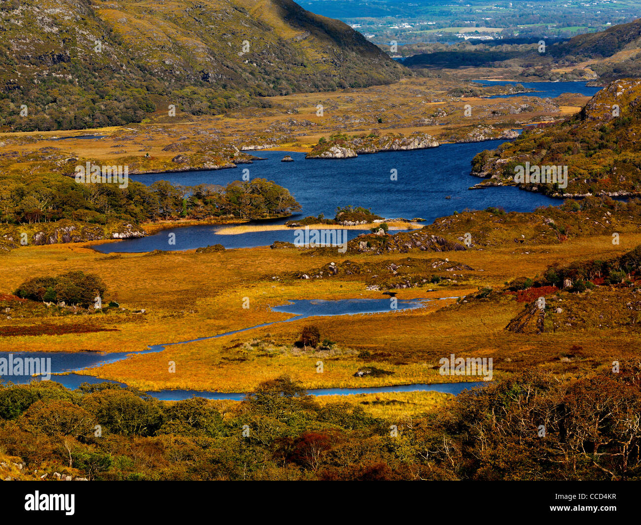 Lady's view, supérieur des Grands Lacs, le Parc National de Killarney, comté de Kerry. Banque D'Images