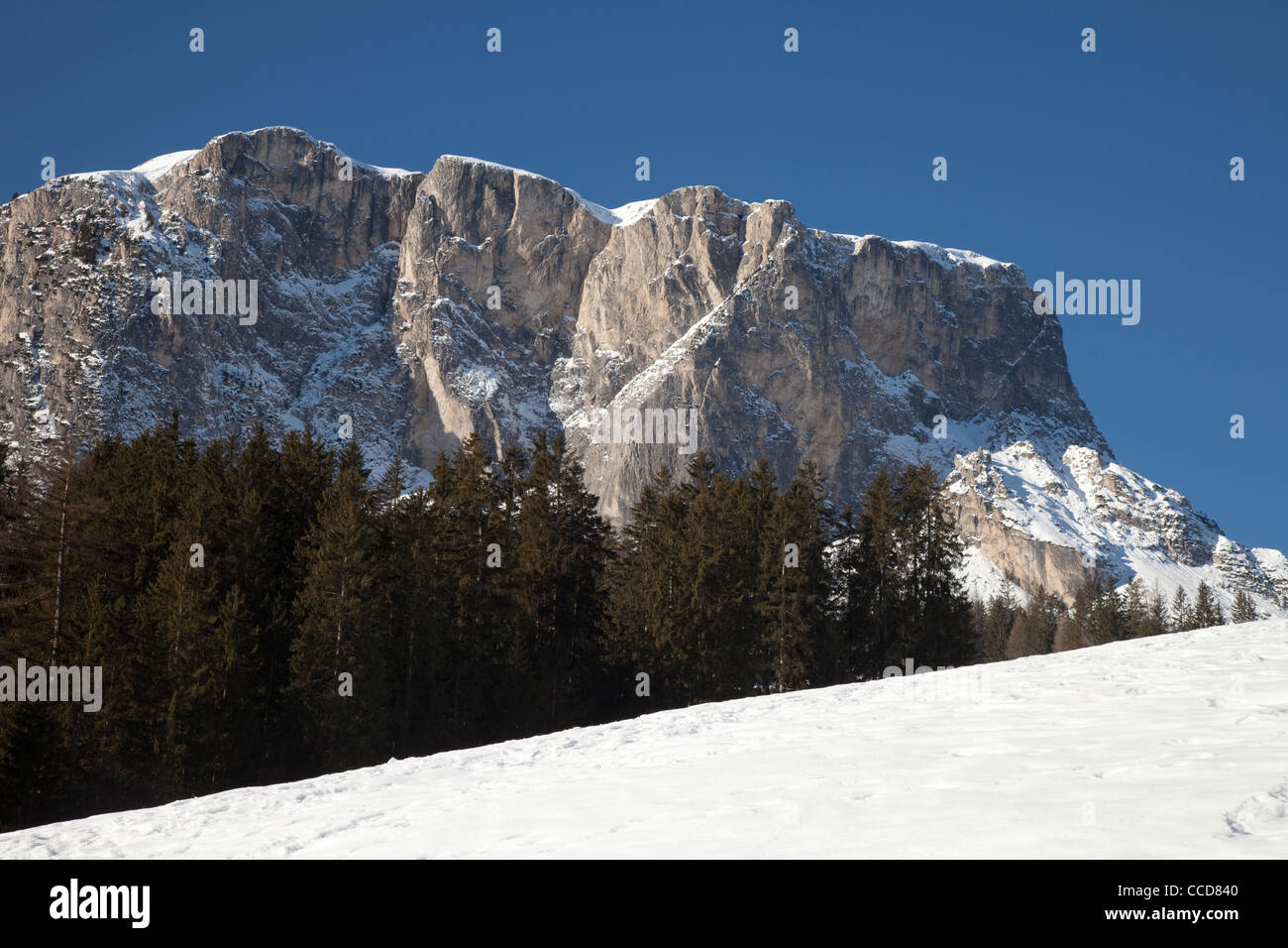 La Dolomite, parc naturel Puez-Geisler, vallée Gader, Badia Abtei, Tyrol du Sud, Italie Banque D'Images