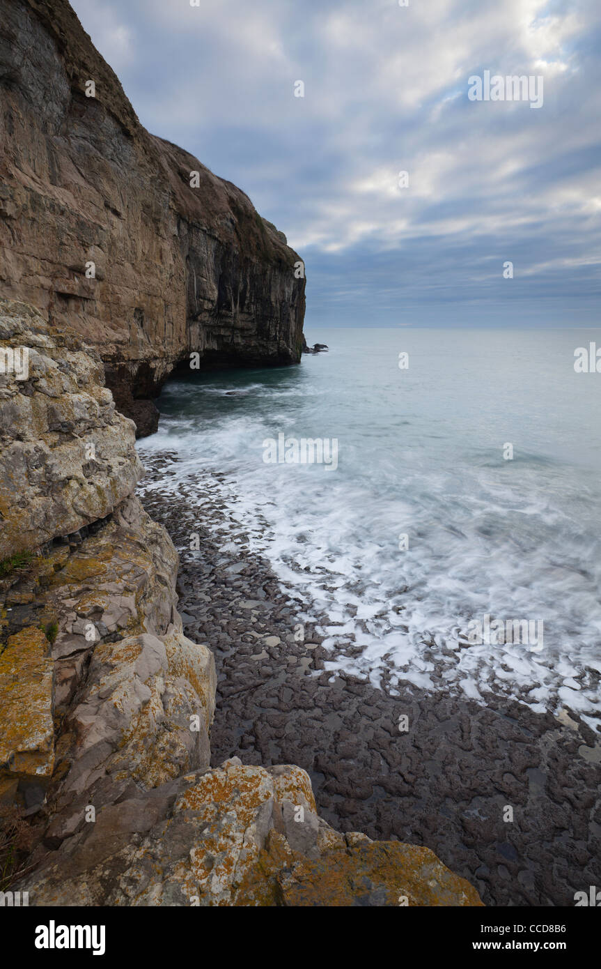 Dancing Ledge, Jurassic Coast dans le Dorset, Angleterre, RU Banque D'Images