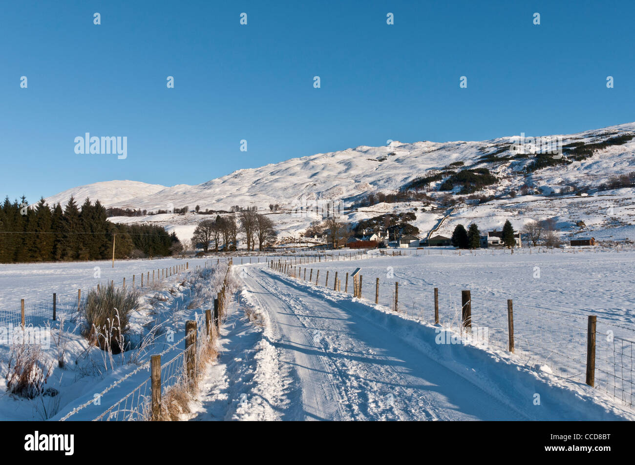 Route couverte de neige à Kirkton Farm Strathfillan nr Stirling Ecosse Crianlarich District Banque D'Images