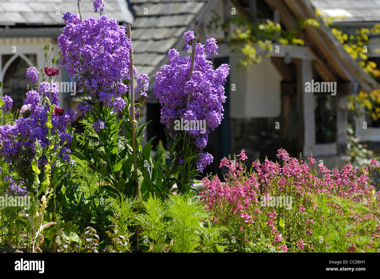 Chalet jardin Devon, UK Banque D'Images