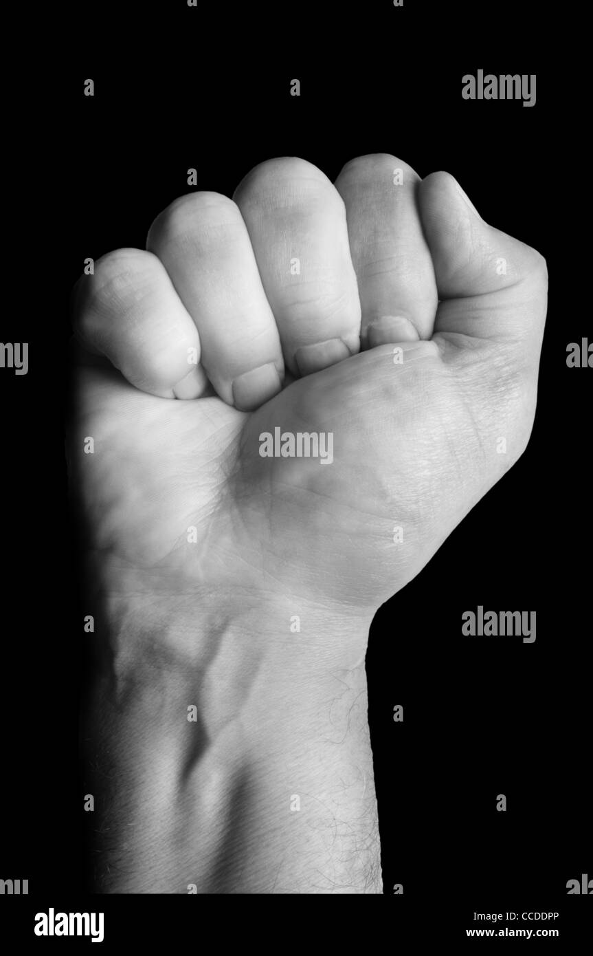 Fist - John Gollop Banque D'Images