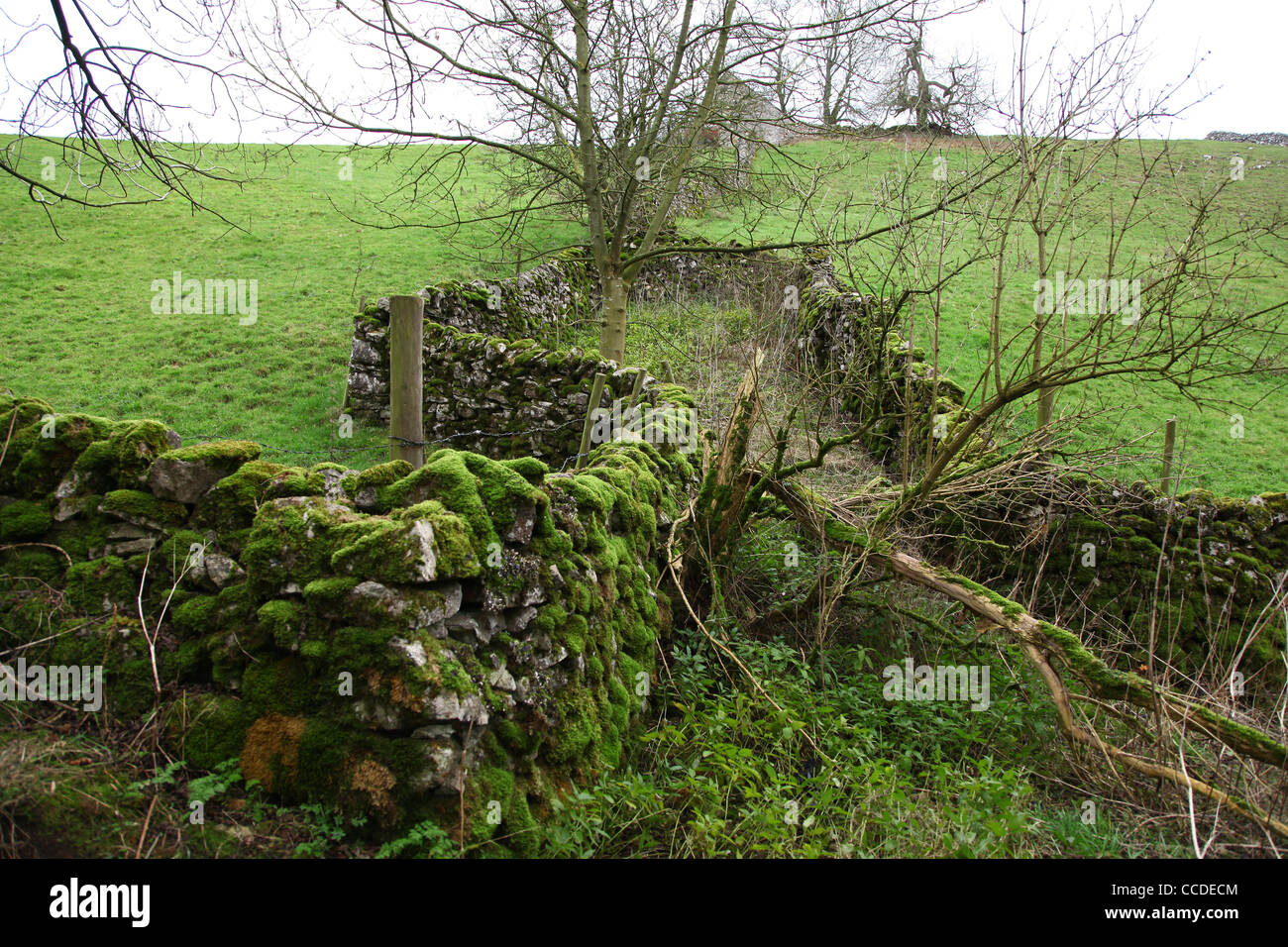 Jeter par Bunnister bergerie Lane, Hopedale, nr, Alstonefield Derbyshire Peak District National Park Banque D'Images