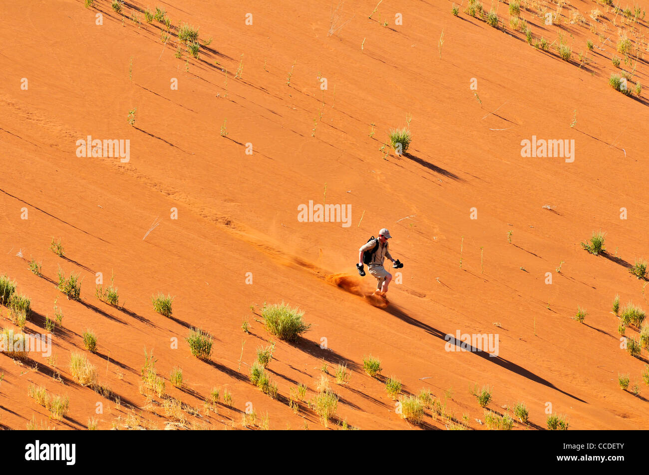 Tourist fonctionnant en bas de la dune de sable rouge de Sossusvlei / Sossus Vlei dans le désert du Namib, Namibie, Afrique du Sud Banque D'Images