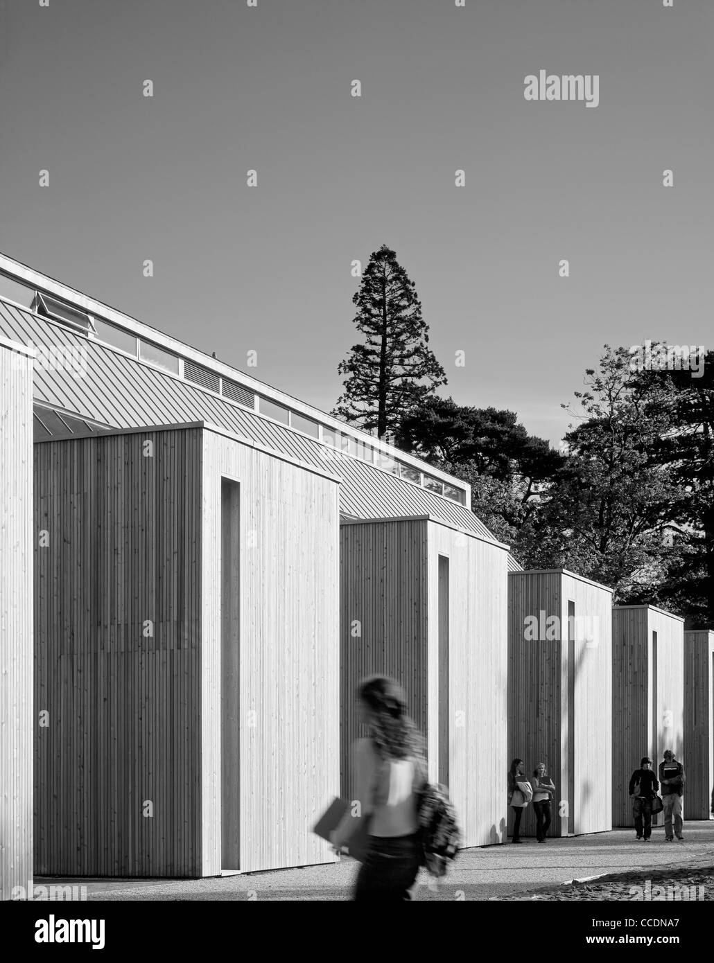 L'ÉCOLE DE BEDALES ALTITUDE DÉVELOPPEMENT VERGER OBLIQUE. Banque D'Images