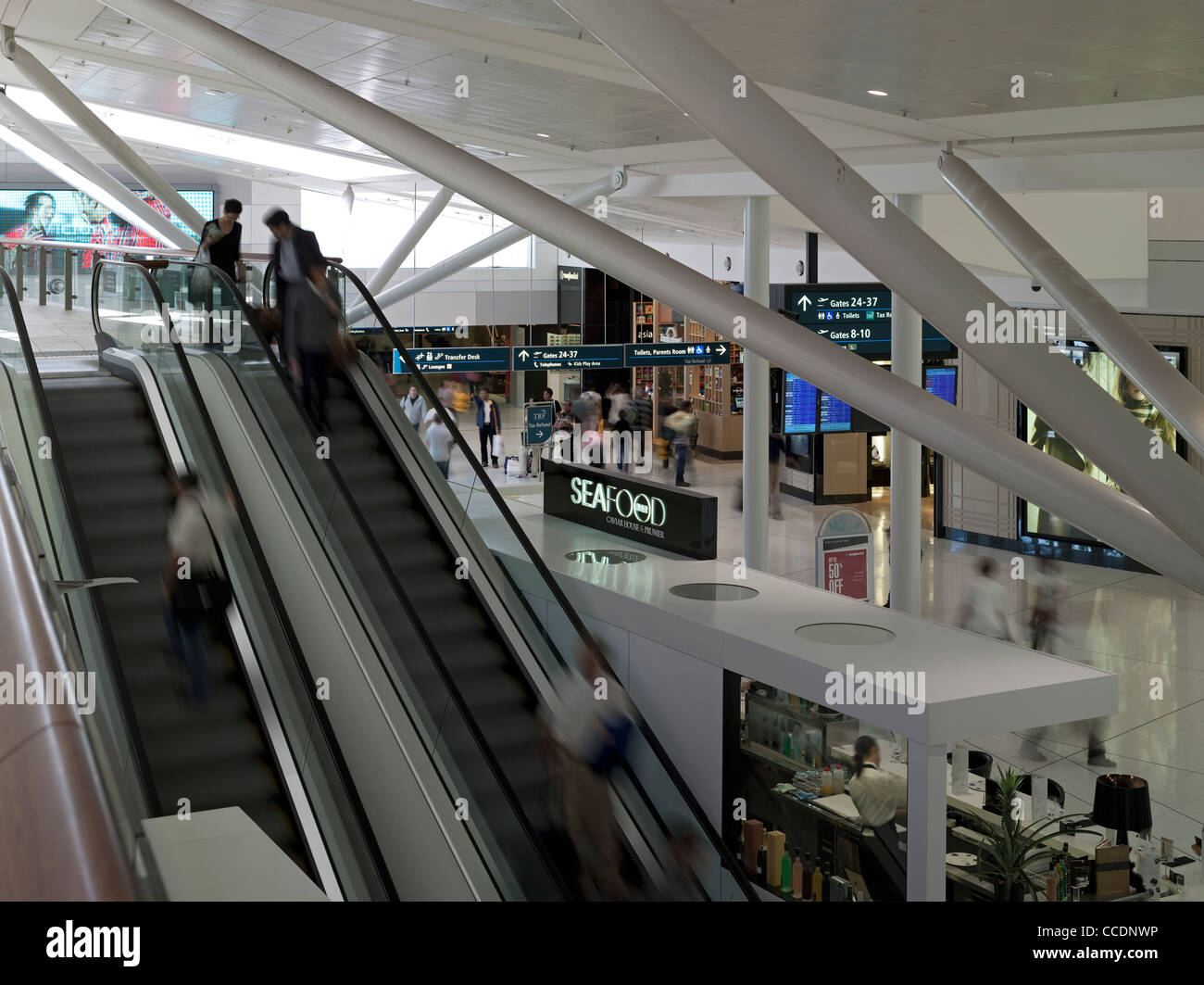 La borne 1 de l'Aéroport International de Sydney, Sydney, Australie, Woodhead, 2010 Planification d'Architecture Interiors Banque D'Images