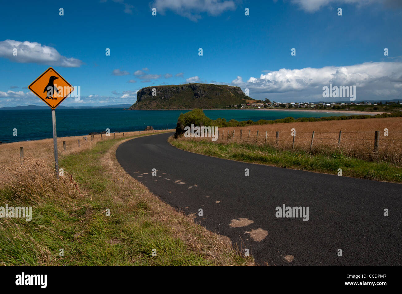 Route de Stanley, Tasmanie (Australie) avec un pingouin Sign Banque D'Images