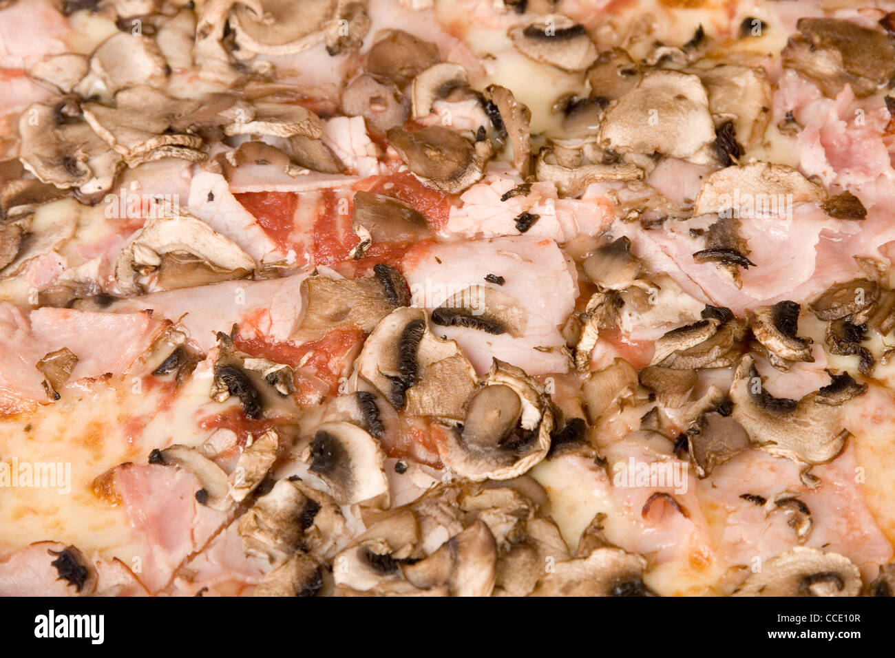 Delicious Italian Pizza aux champignons et au jambon Banque D'Images