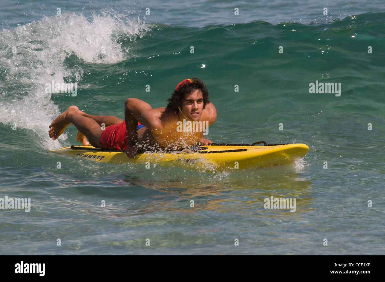 Un jeune sauveteur volontaire en rouge et jaune sur sa planche de surf à Bondi Beach près de Sydney, Nouvelle-Galles du Sud, Australie Banque D'Images