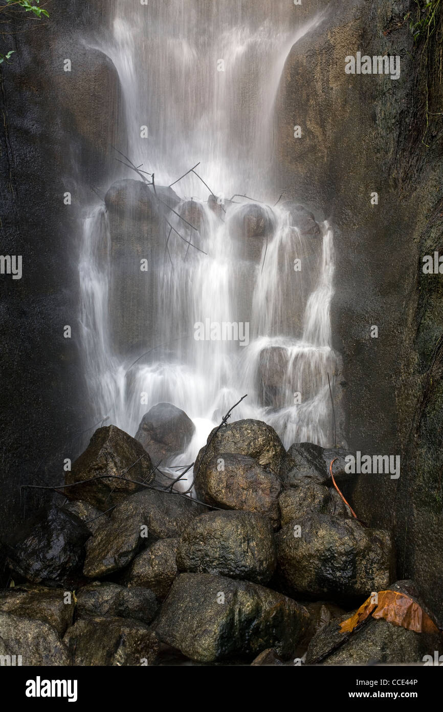 À l'intérieur de la forêt tropicale à l'Eden Project biome il dégringole cette chute d'eau sur les roches Banque D'Images